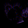 ein bißchen Lightpainting