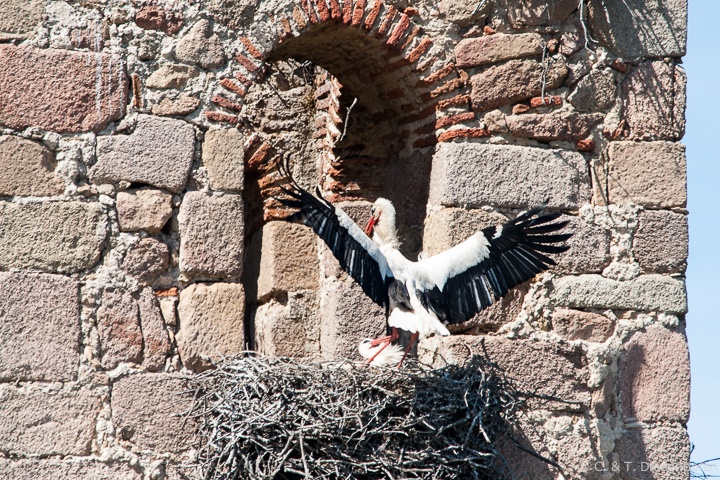 Anflug