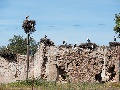 Eigenheimsiedlung