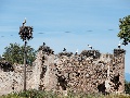 Eigenheimsiedlung