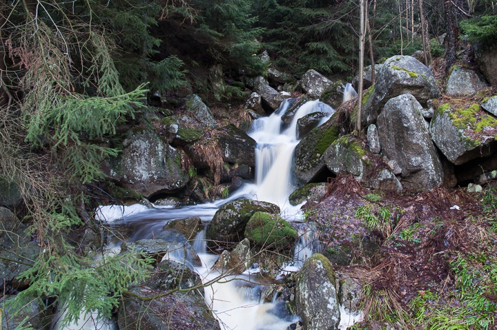 Unterwegs im Harz, Dezember 2012