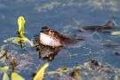 März 2012, 2.Teil