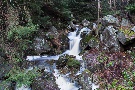 Unterwegs im Harz, Dezember 2012