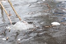 Februar 2012, viel Eis