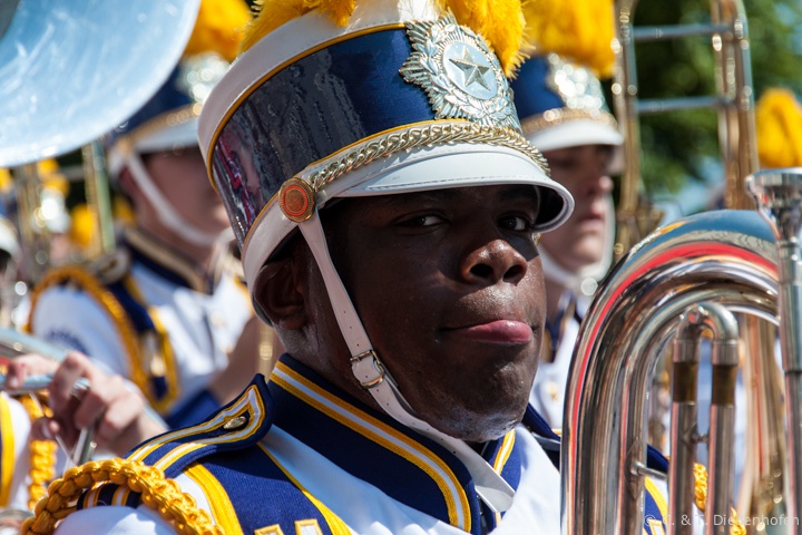 Lions Parade in Hamburg